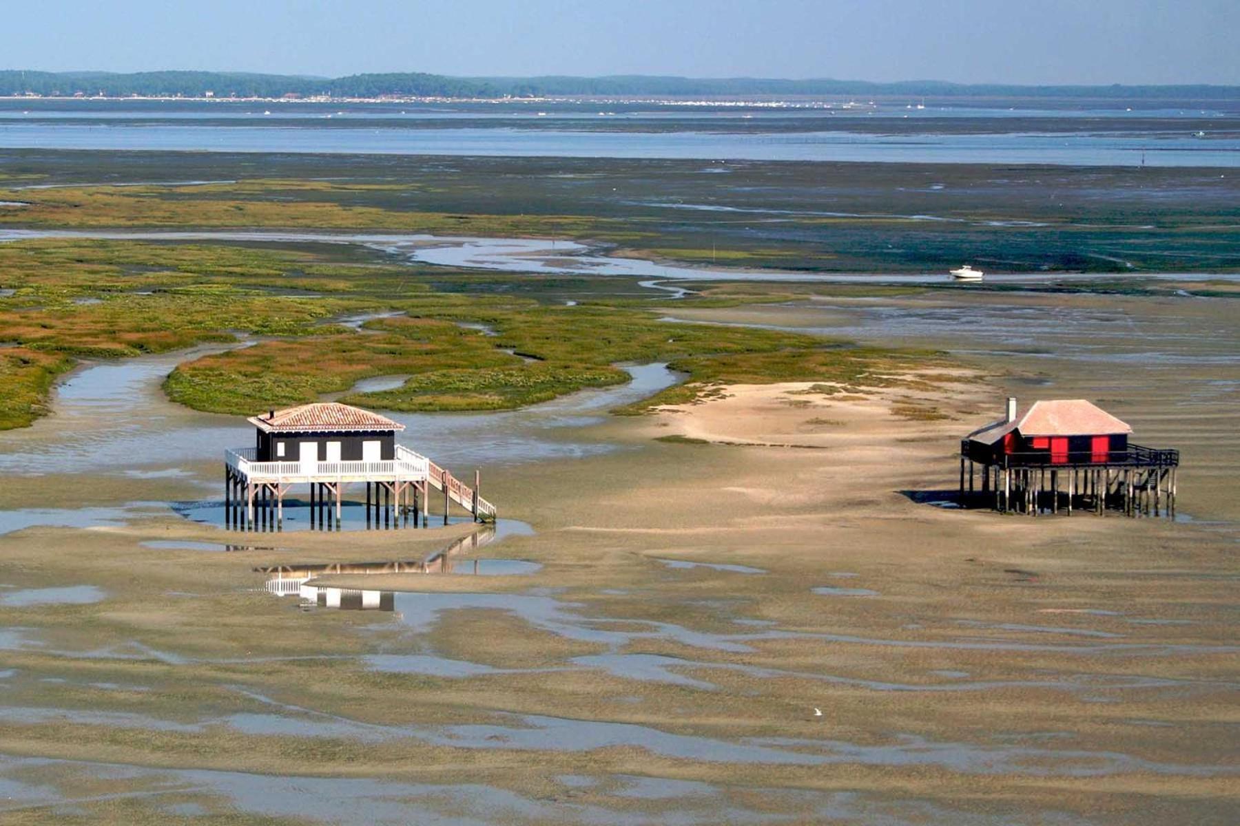 Un Toit Sur Le Bassin Claouey Hotel Lege-Cap-Ferret Bagian luar foto
